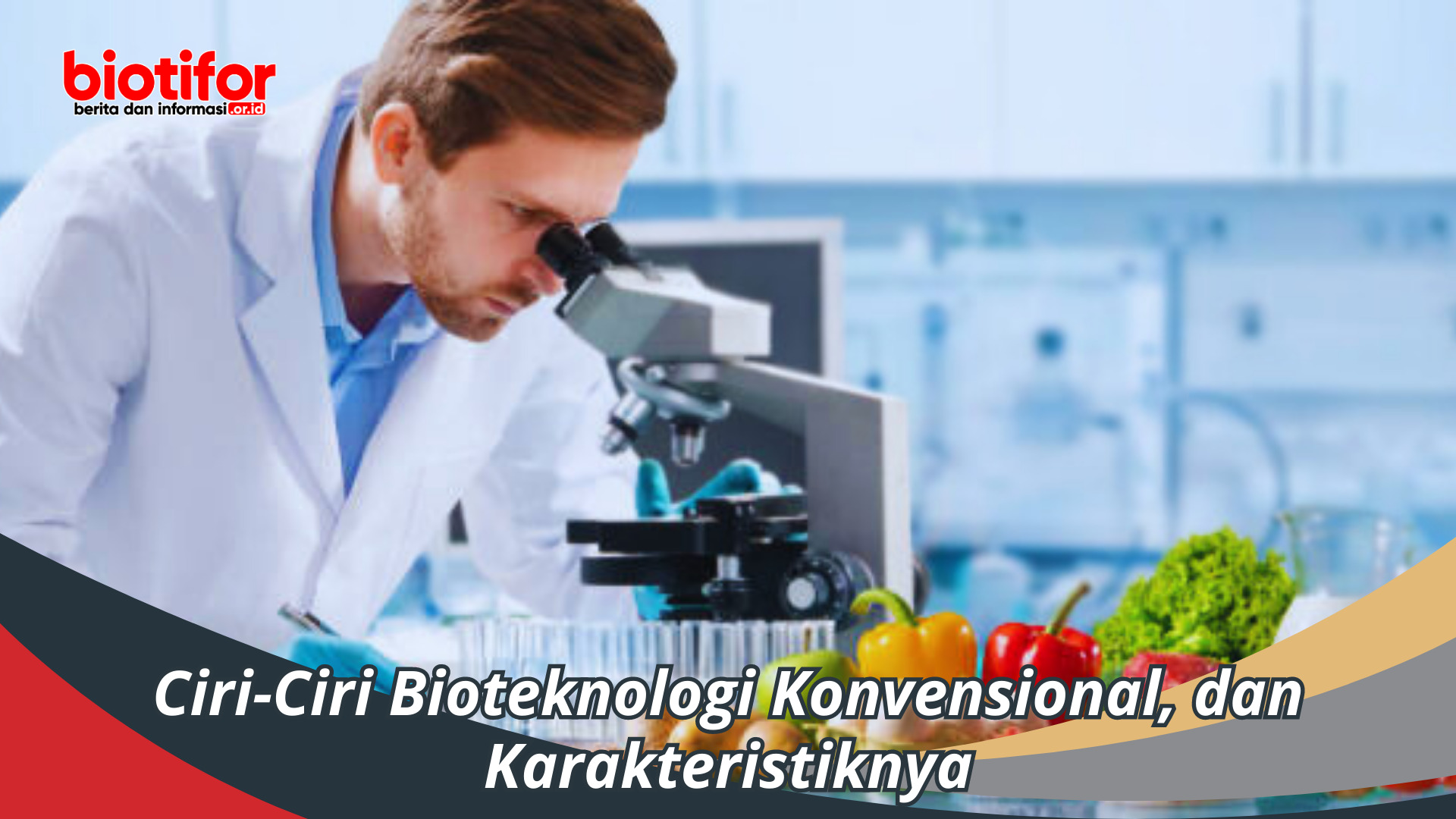 Ciri-Ciri Bioteknologi Konvensional, dan Karakteristiknya