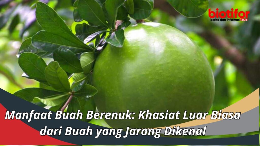 Manfaat Buah Berenuk: Khasiat Luar Biasa Dari Buah Yang Jarang Dikenal