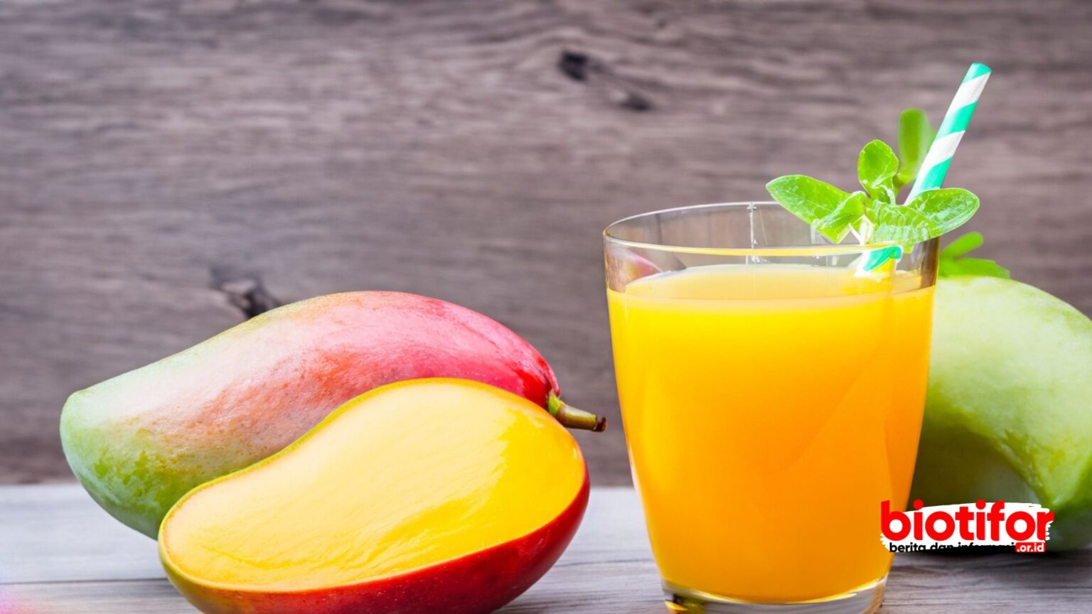 Keajaiban Manfaat Jus Buah Mangga Kesehatan Optimal Biotifor 