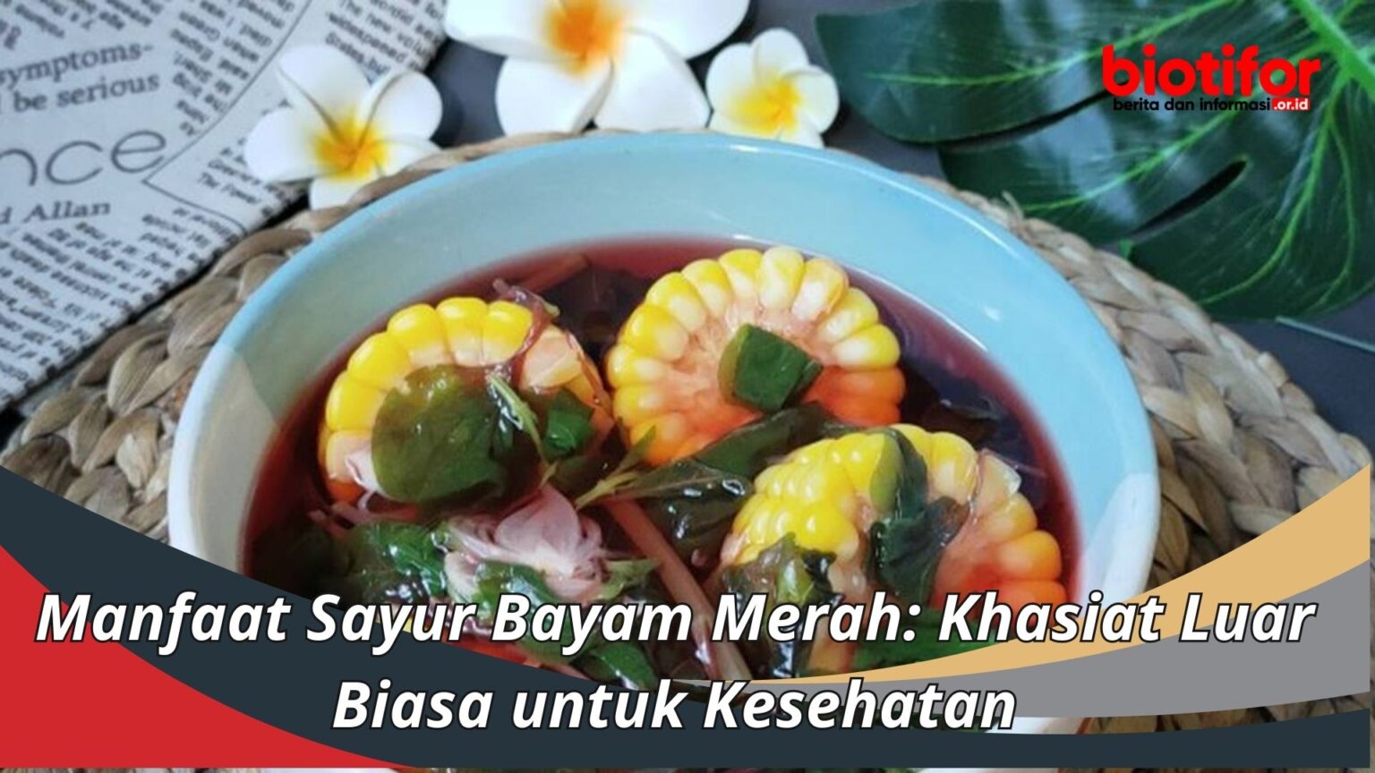 Manfaat Sayur Bayam Merah Khasiat Luar Biasa Untuk Kesehatan Biotifor