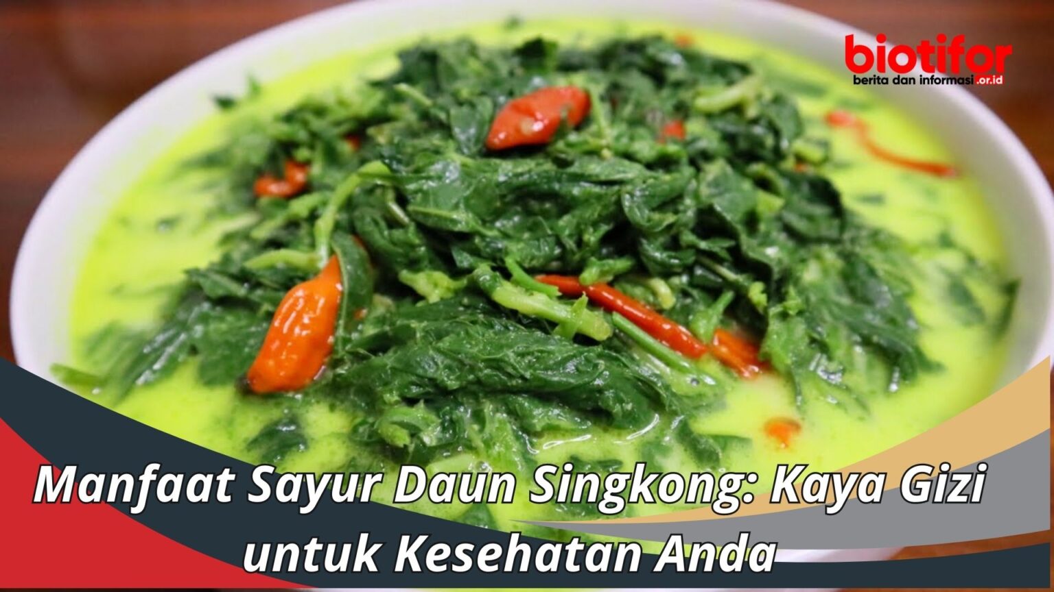 Manfaat Sayur Daun Singkong Kaya Gizi Untuk Kesehatan Anda Biotifor 4583