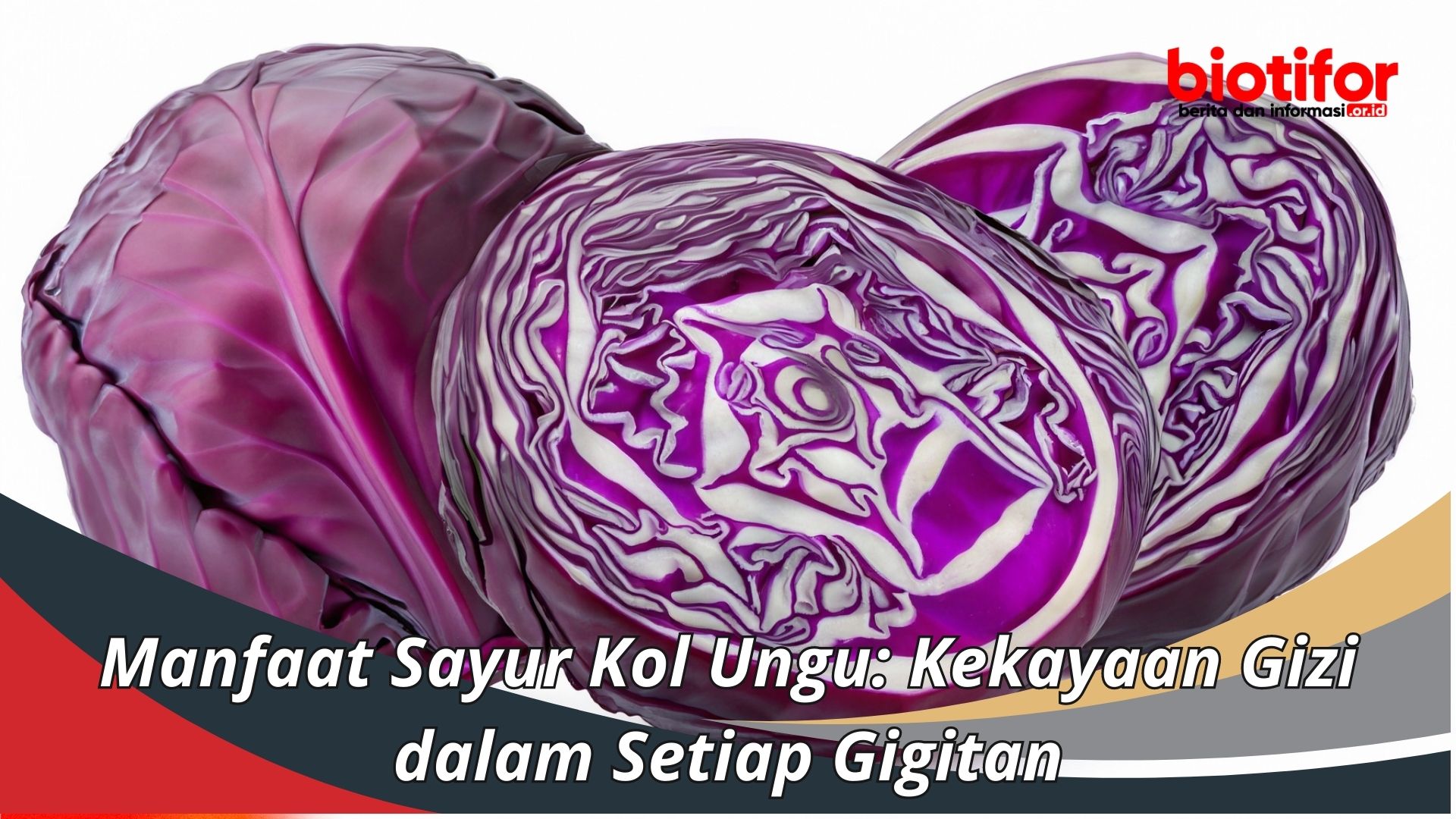 Manfaat Sayur Kol Ungu: Kekayaan Gizi dalam Setiap Gigitan