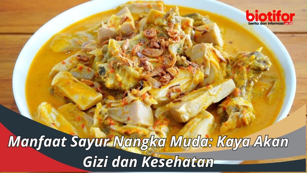 Manfaat Sayur Nangka Muda Kaya Akan Gizi Dan Kesehatan Biotifor