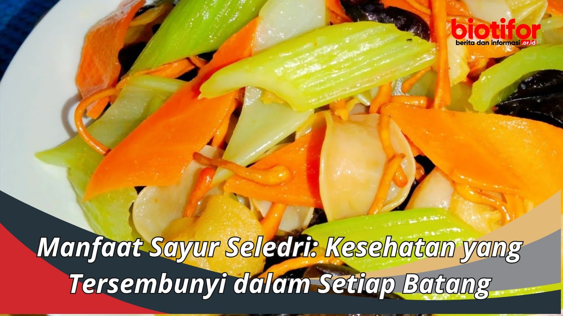 Manfaat Sayur Seledri: Kesehatan yang Tersembunyi dalam Setiap Batang