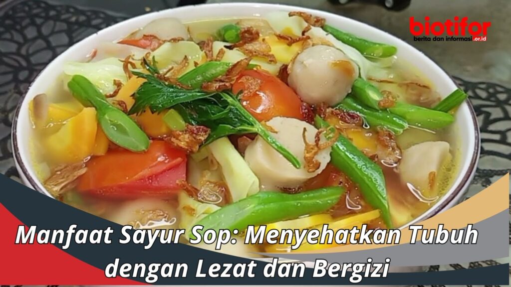 Manfaat Sayur Sop: Menyehatkan Tubuh Dengan Lezat Dan Bergizi - Biotifor