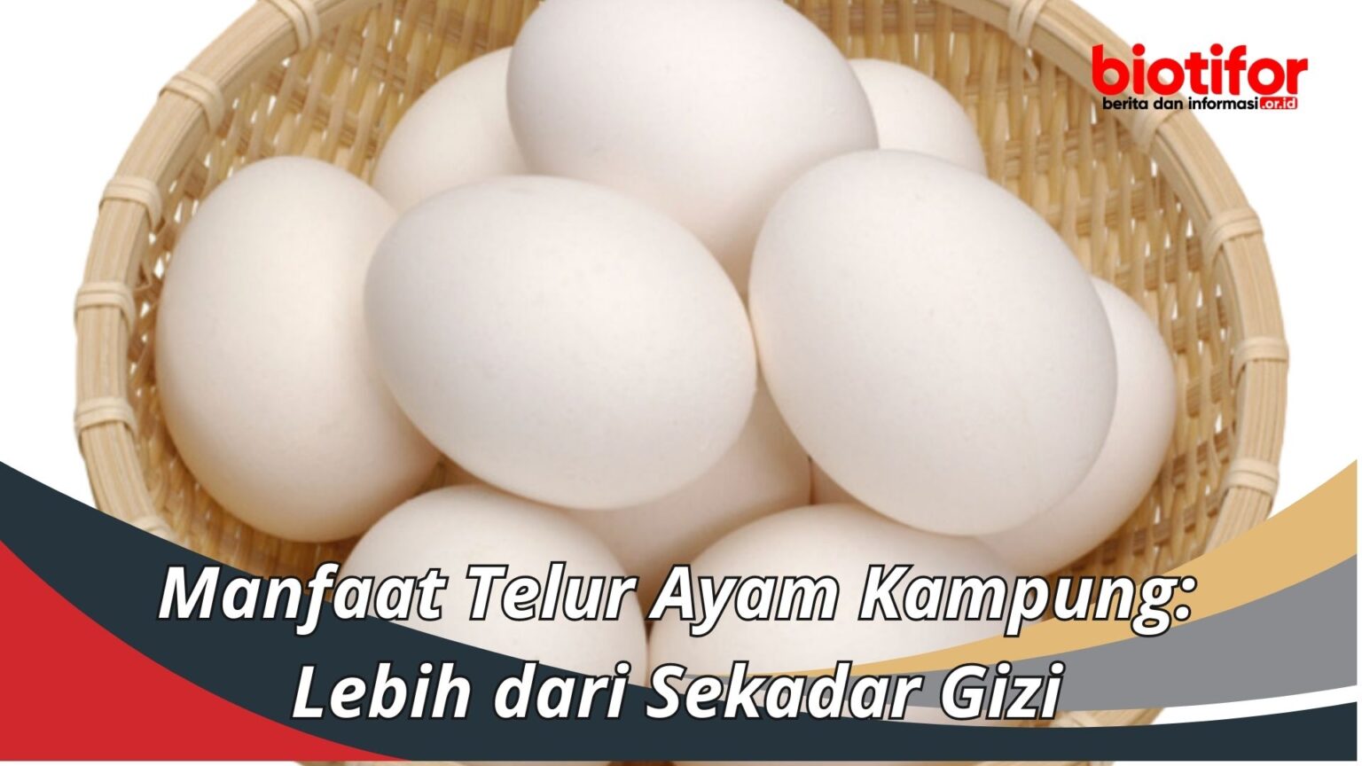 Manfaat Telur Ayam Kampung Lebih Dari Sekadar Gizi 9224