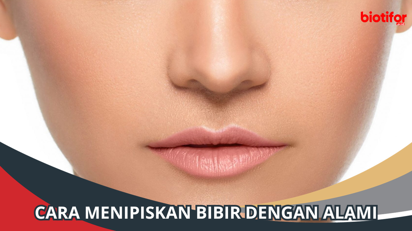 Cara Menipiskan Bibir dengan Alami, Wanita Wajib Baca ini