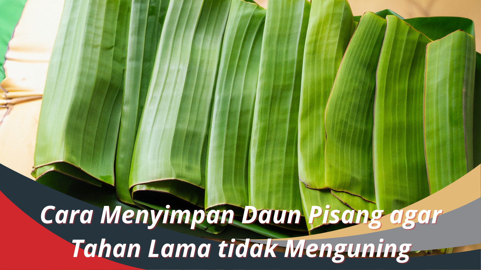 Cara Menyimpan Daun Pisang agar Tahan Lama tidak Menguning