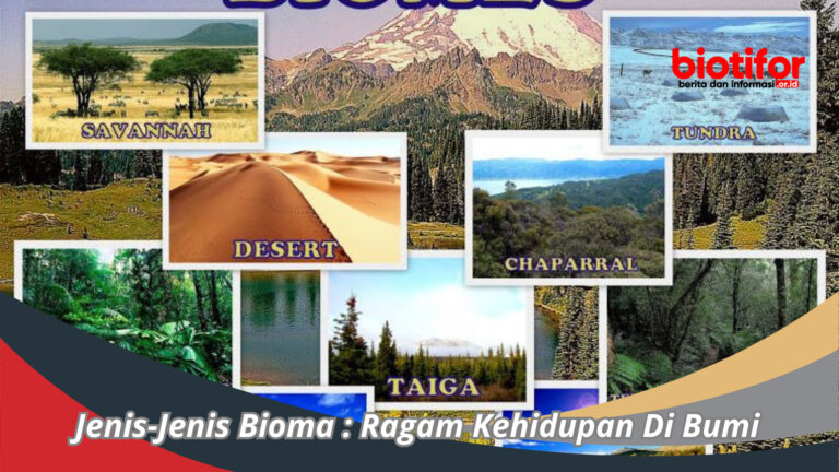 Jenis-Jenis Bioma : Ragam Kehidupan Di Bumi