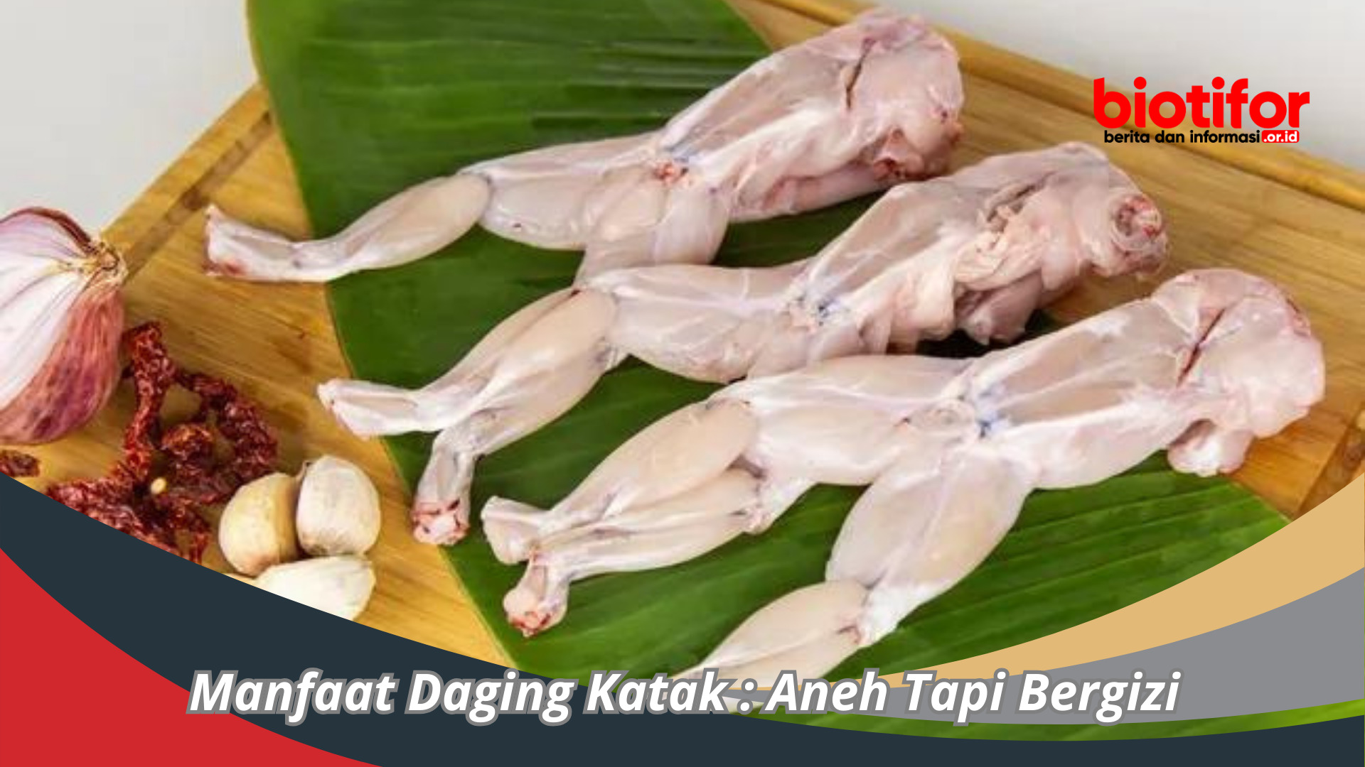 Manfaat Daging Katak : Aneh Tapi Bergizi