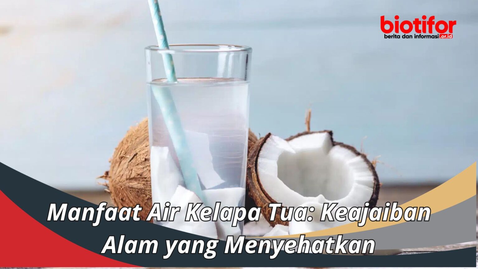 Manfaat Air Kelapa Tua Keajaiban Alam Yang Menyehatkan