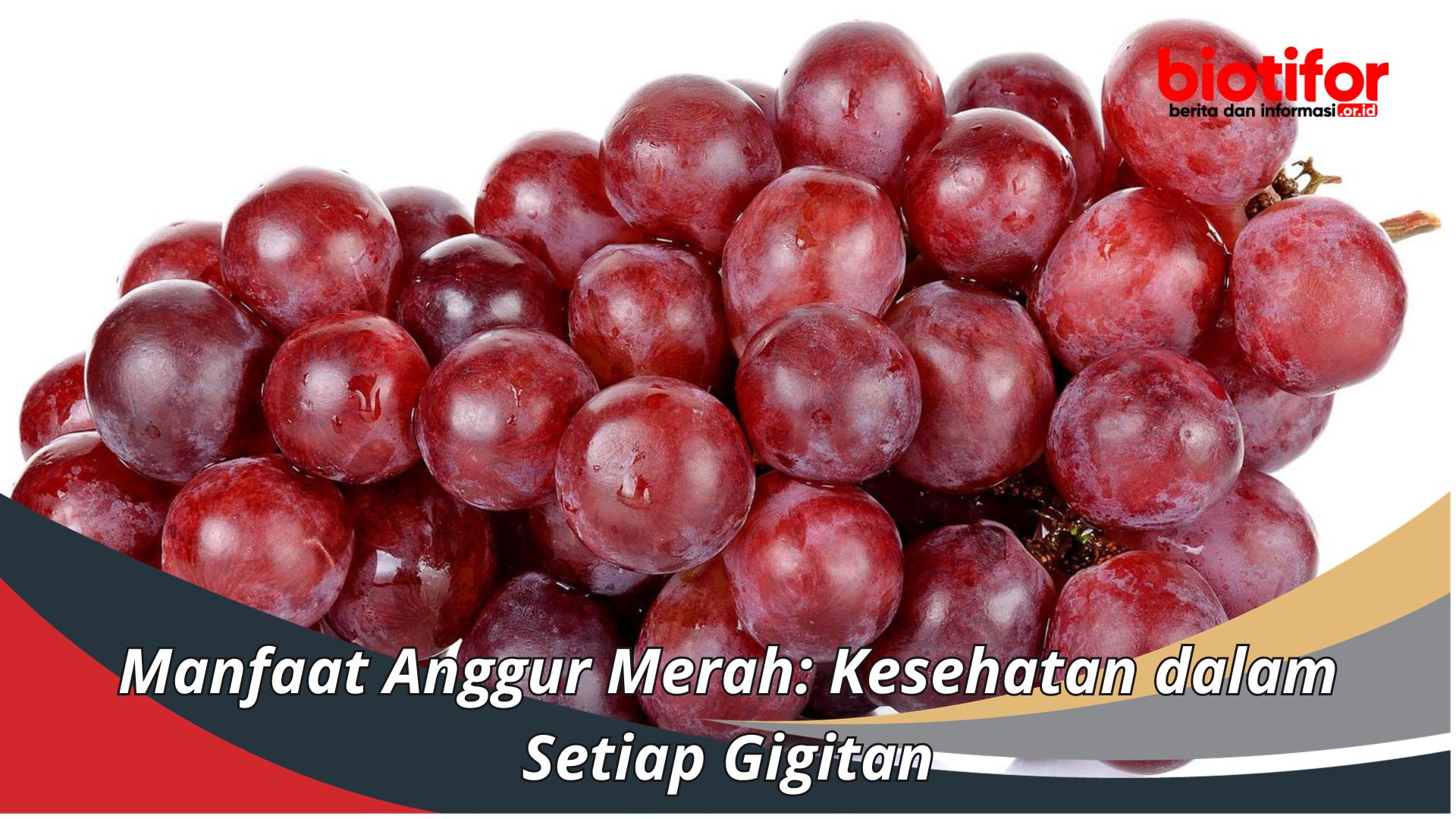 Manfaat Anggur Merah: Kesehatan dalam Setiap Gigitan