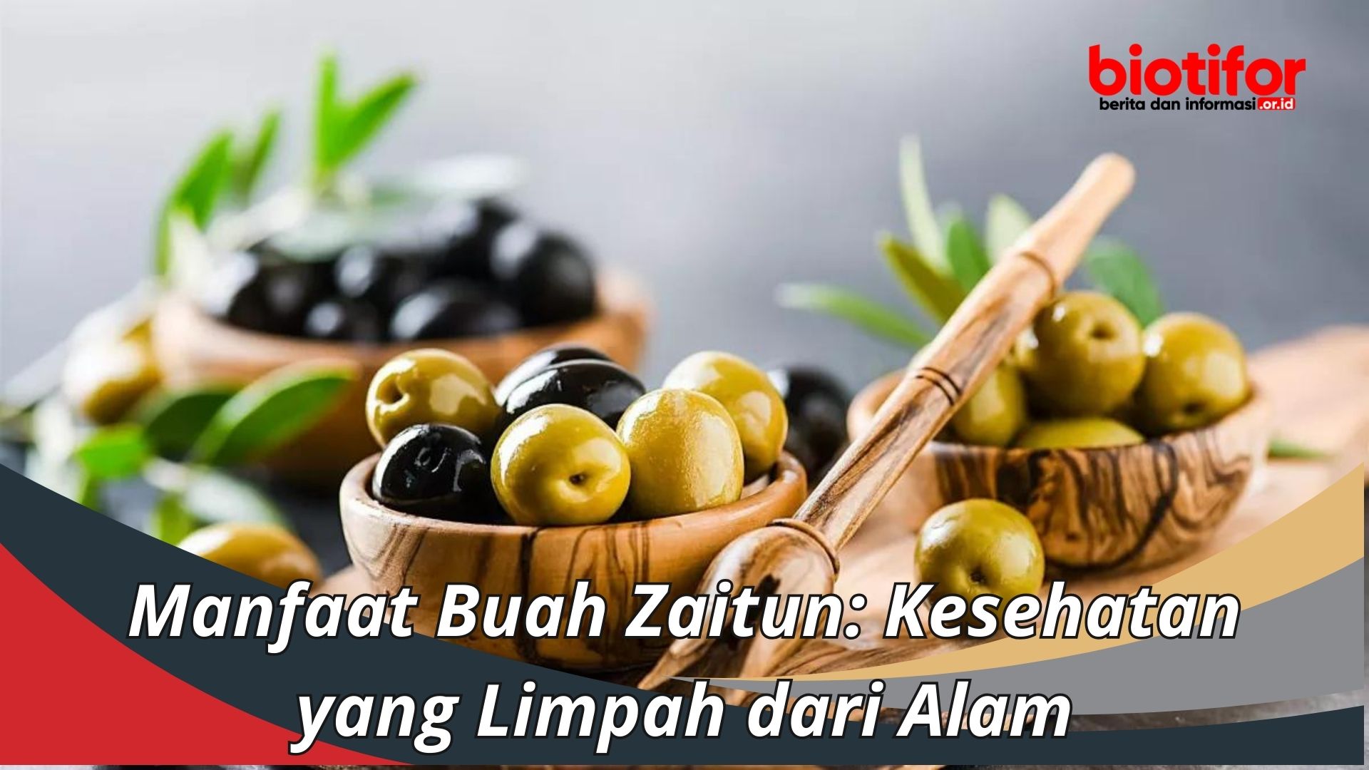 Manfaat Buah Zaitun: Kesehatan yang Limpah dari Alam