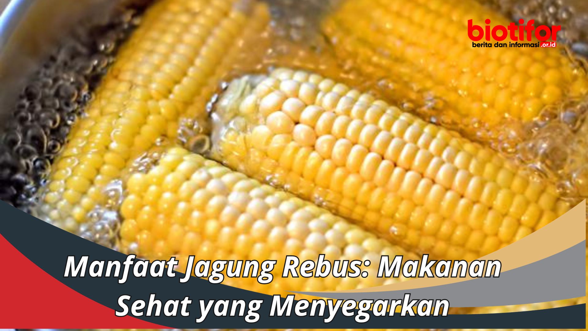 Manfaat Jagung Rebus: Makanan Sehat yang Menyegarkan