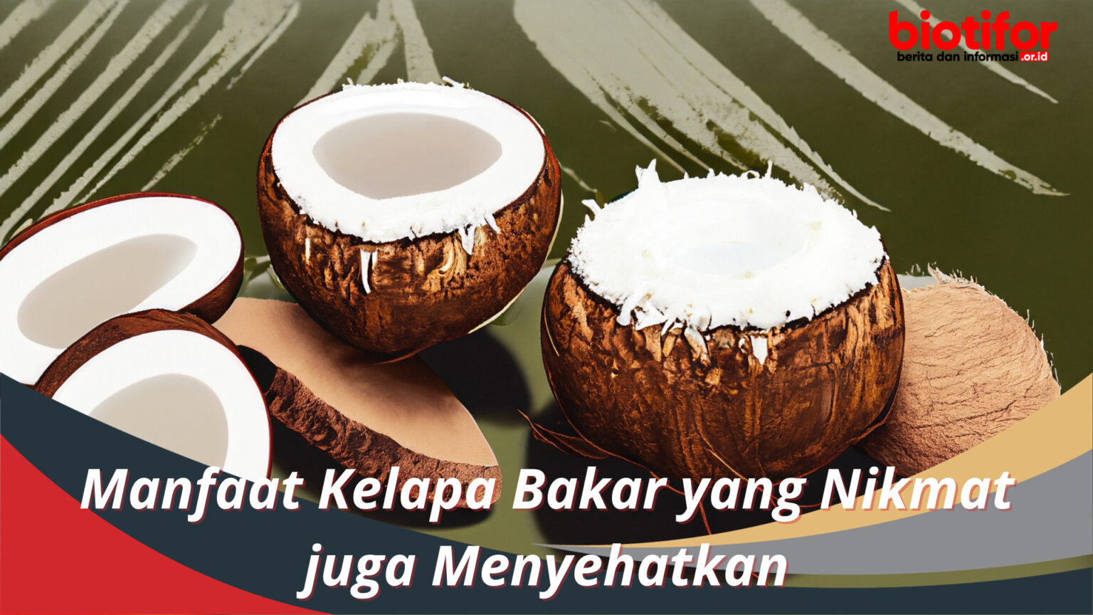 Manfaat Kelapa Bakar yang Nikmat juga Menyehatkan Biotifor