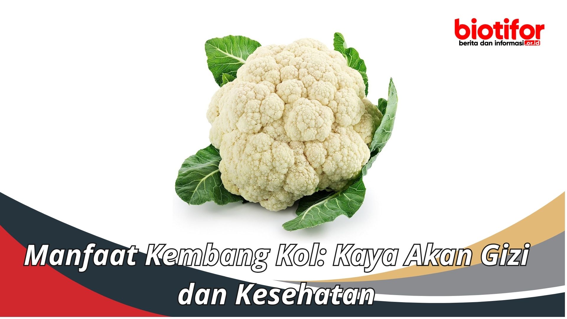 Manfaat Kembang Kol Kaya Akan Gizi Dan Kesehatan Biotifor