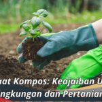 Manfaat Kompos: Keajaiban Untuk Lingkungan dan Pertanian