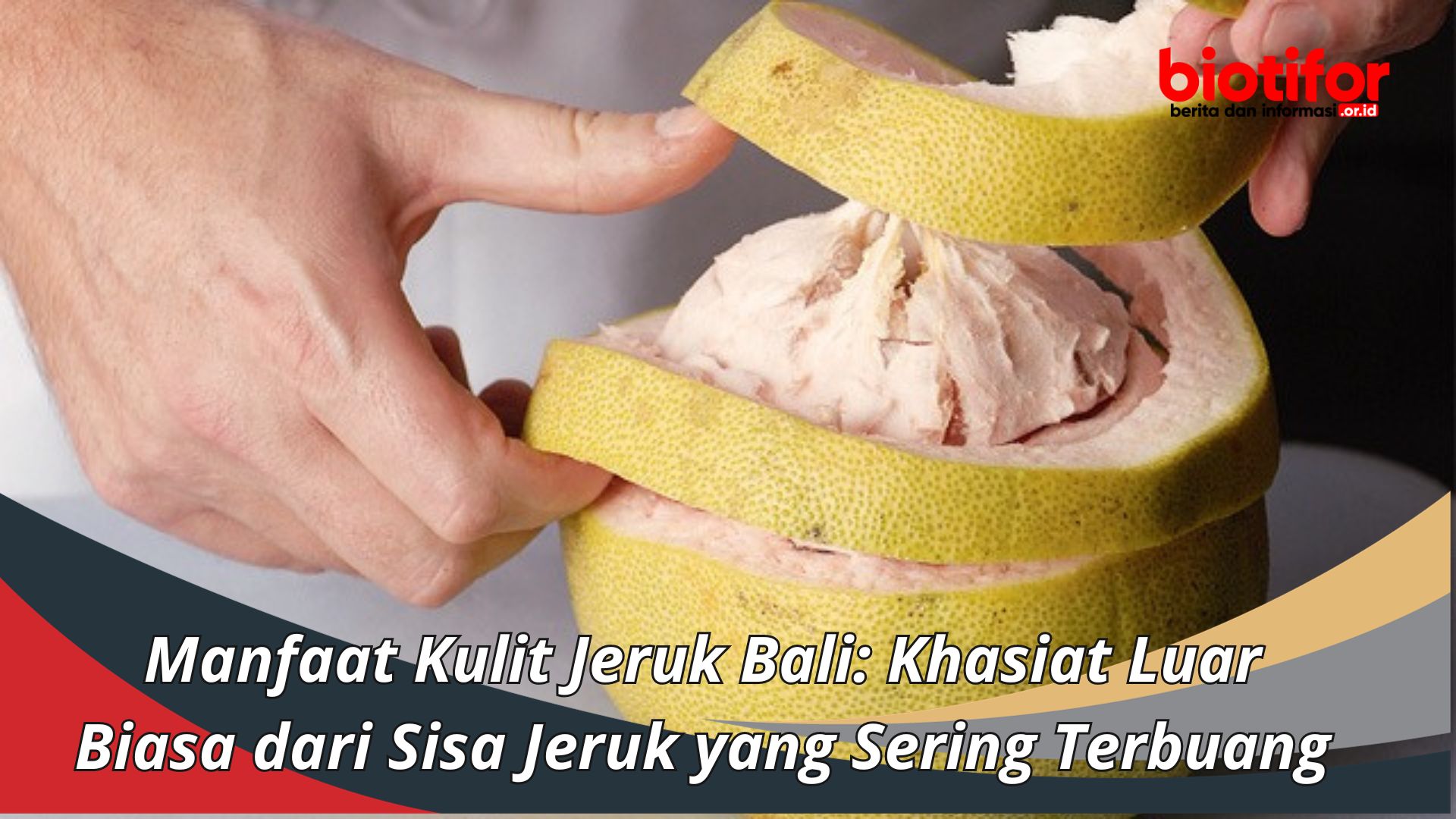 Manfaat Kulit Jeruk Bali Khasiat Luar Biasa Dari Sisa Jeruk Yang