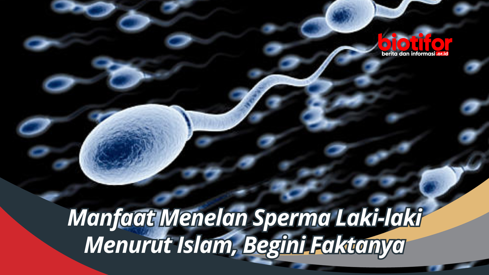 Manfaat Menelan Sperma Laki-laki Menurut Islam, Begini Faktanya