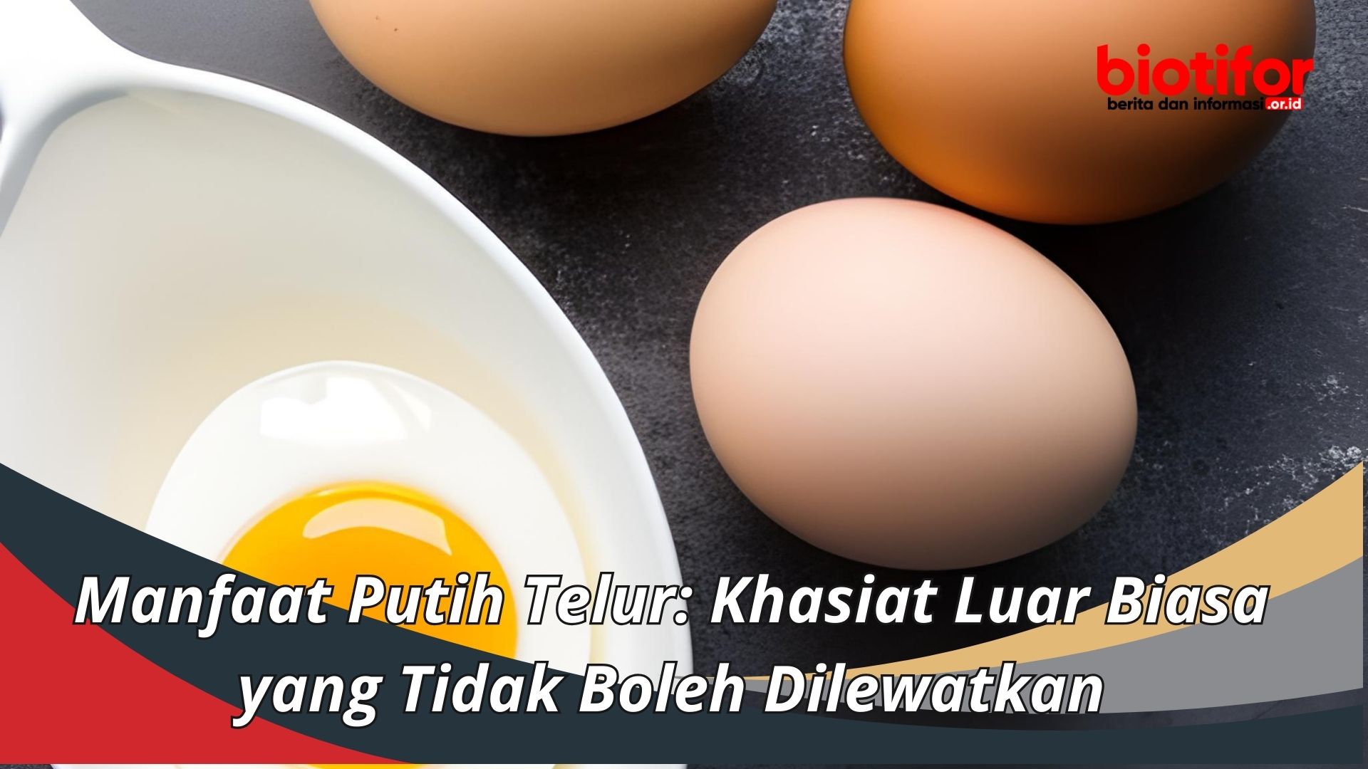 Manfaat Putih Telur: Khasiat Luar Biasa yang Tidak Boleh Dilewatkan