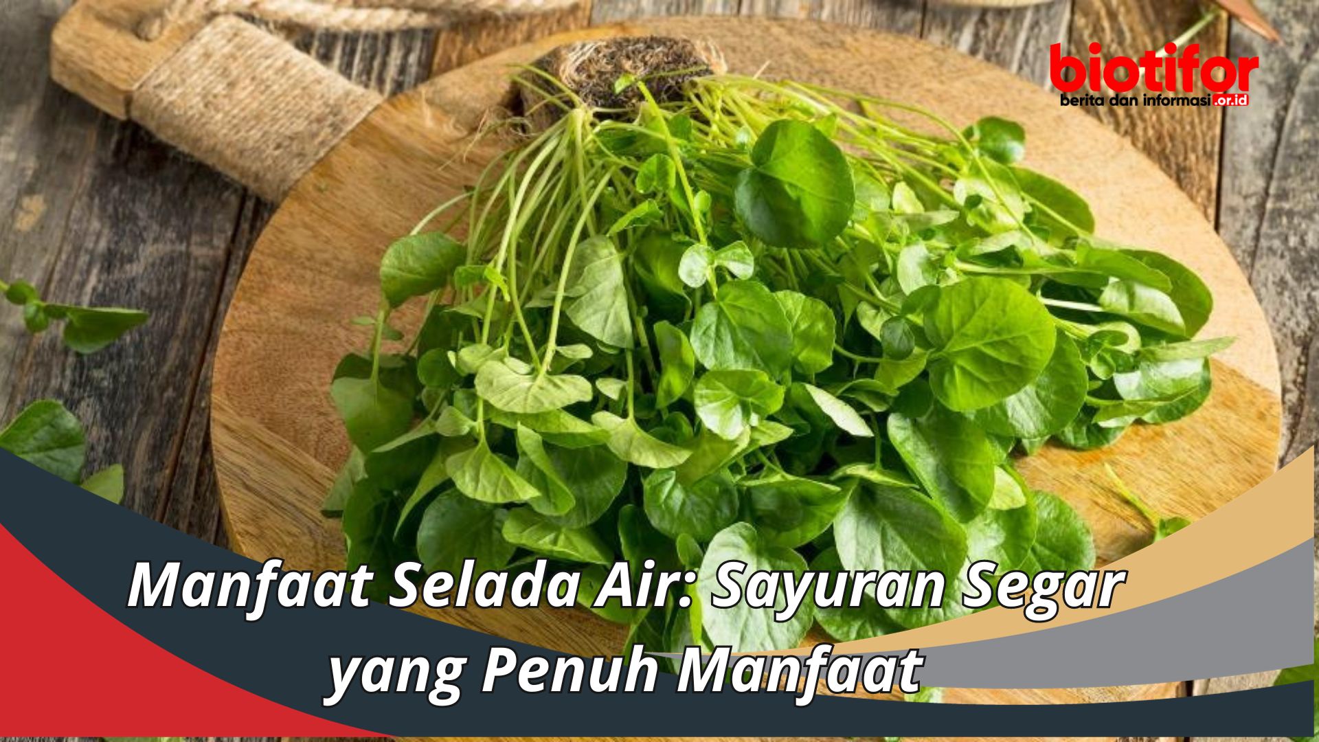 Manfaat Selada Air: Sayuran Segar yang Penuh Manfaat