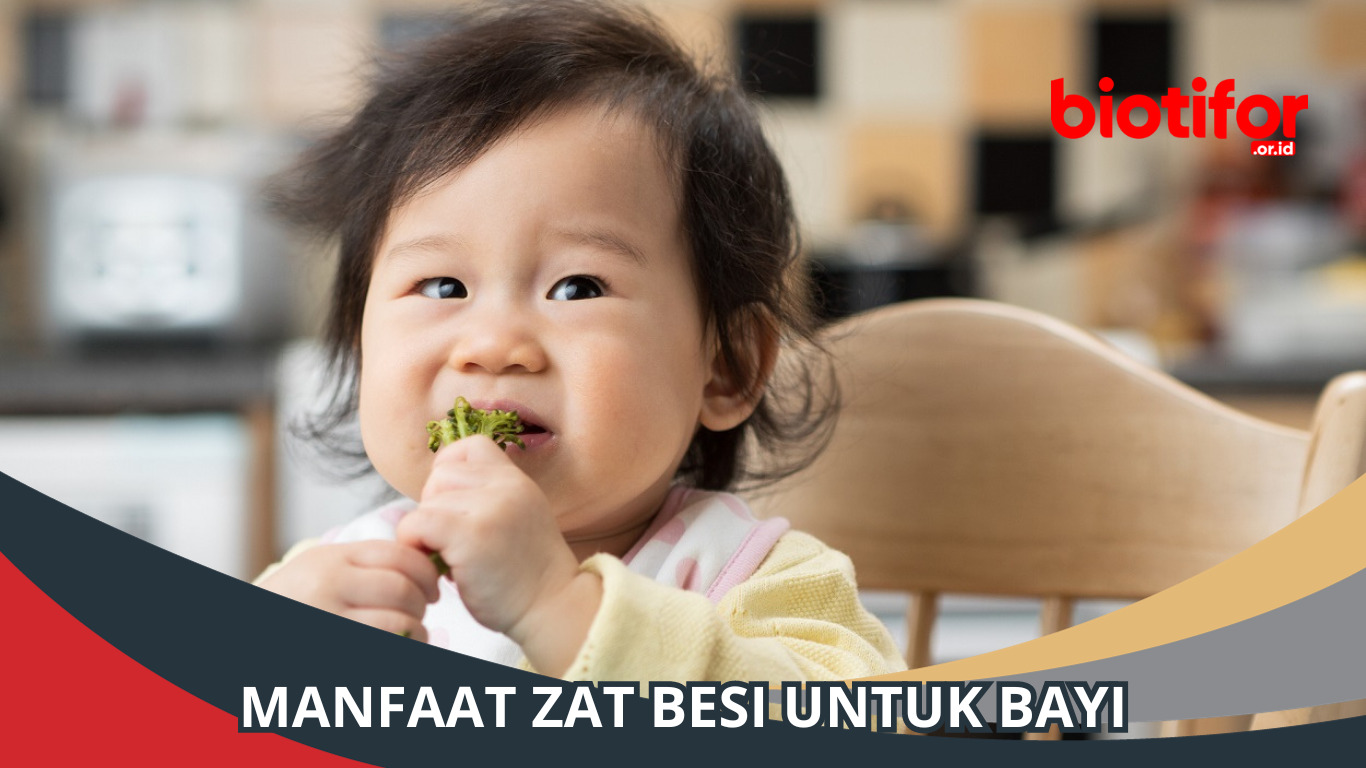 Manfaat Zat Besi untuk Bayi,  Gizi yang Tidak Boleh Diabaikan!