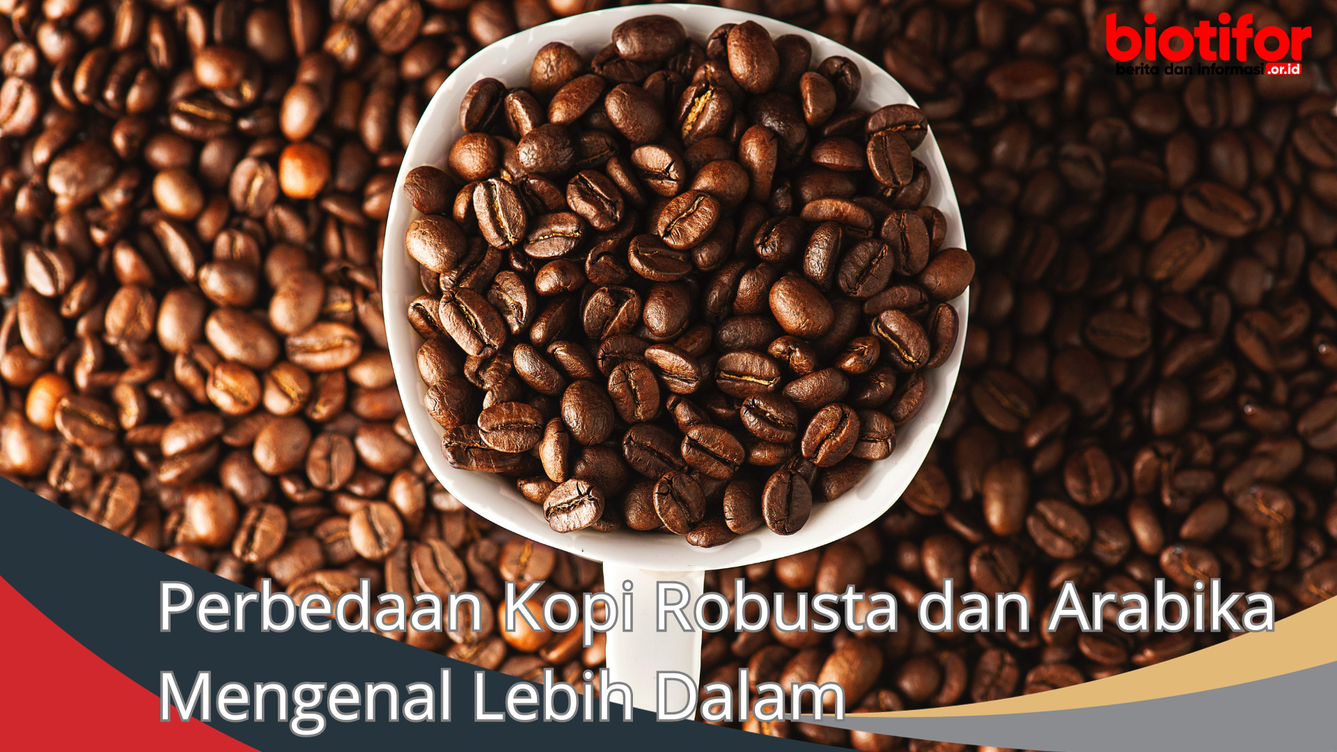 Perbedaan Kopi Robusta dan Arabika Mengenal Lebih Dalam