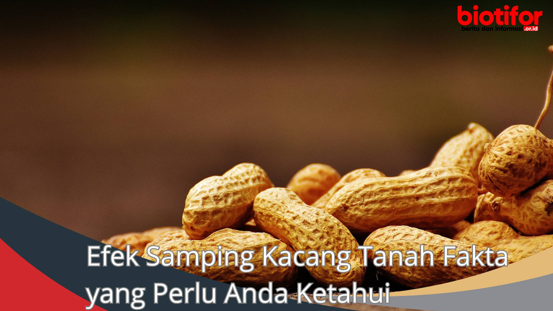 Efek Samping Kacang Tanah Fakta yang Perlu Anda Ketahui