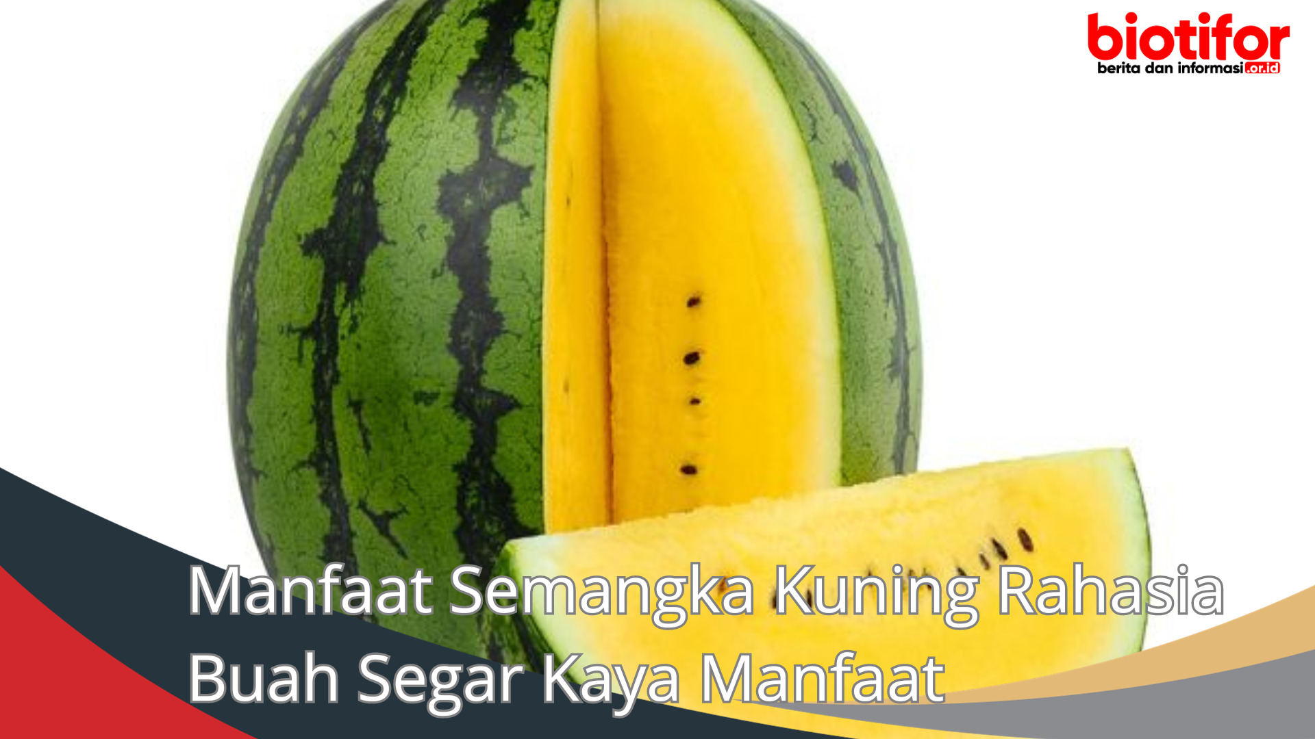 Manfaat Semangka Kuning Rahasia Buah Segar Kaya Manfaat