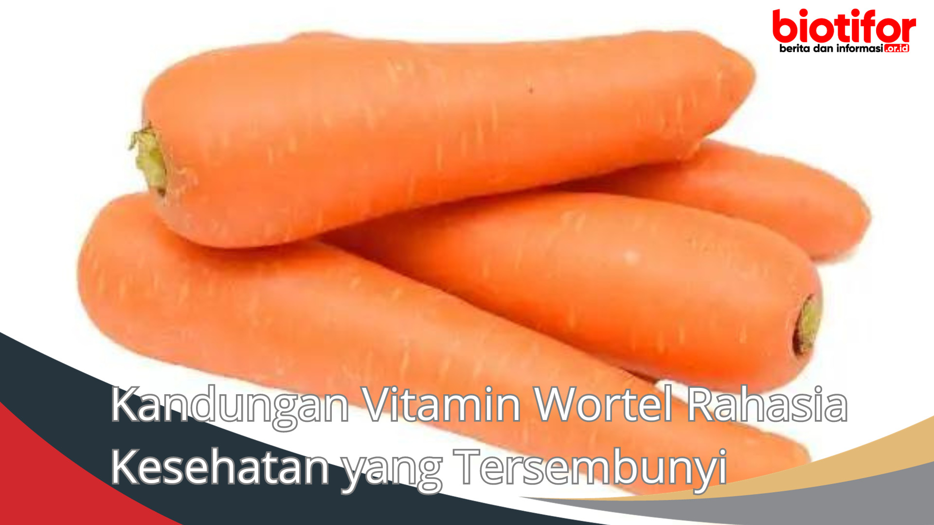 Kandungan Vitamin Wortel Rahasia Kesehatan yang Tersembunyi