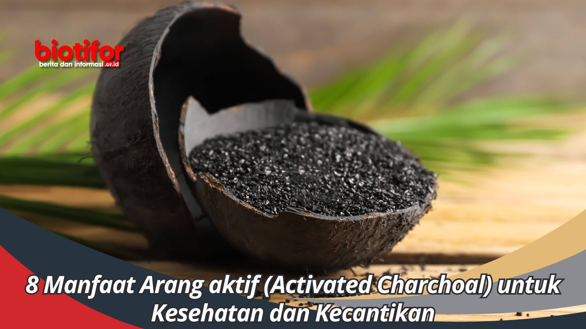 8 Manfaat Arang aktif (Activated Charchoal) untuk Kesehatan dan Kecantikan