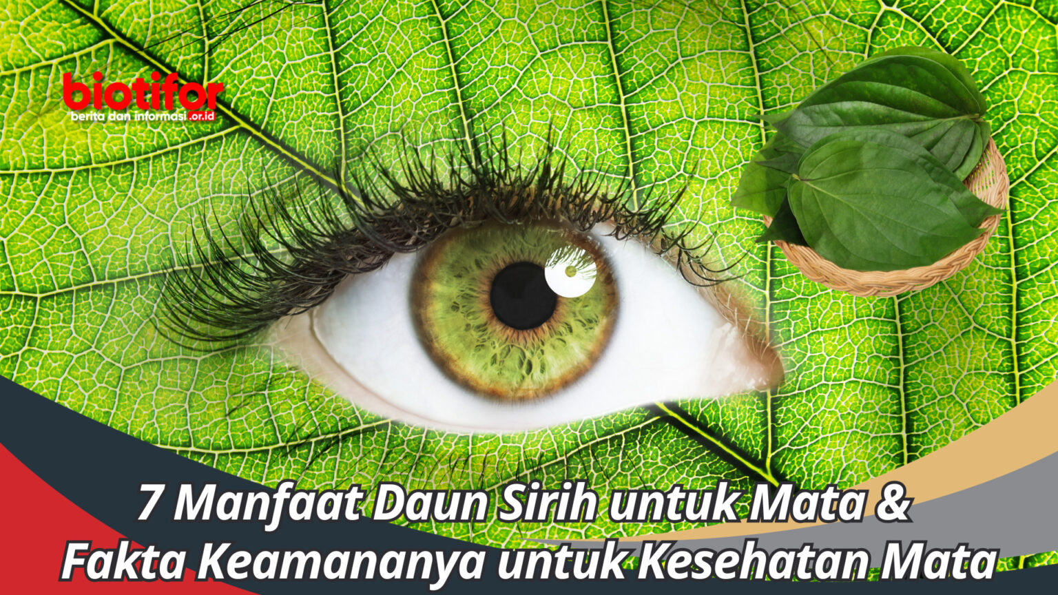 7 Manfaat Daun Sirih Untuk Mata Dan Fakta Keamananya Untuk Kesehatan