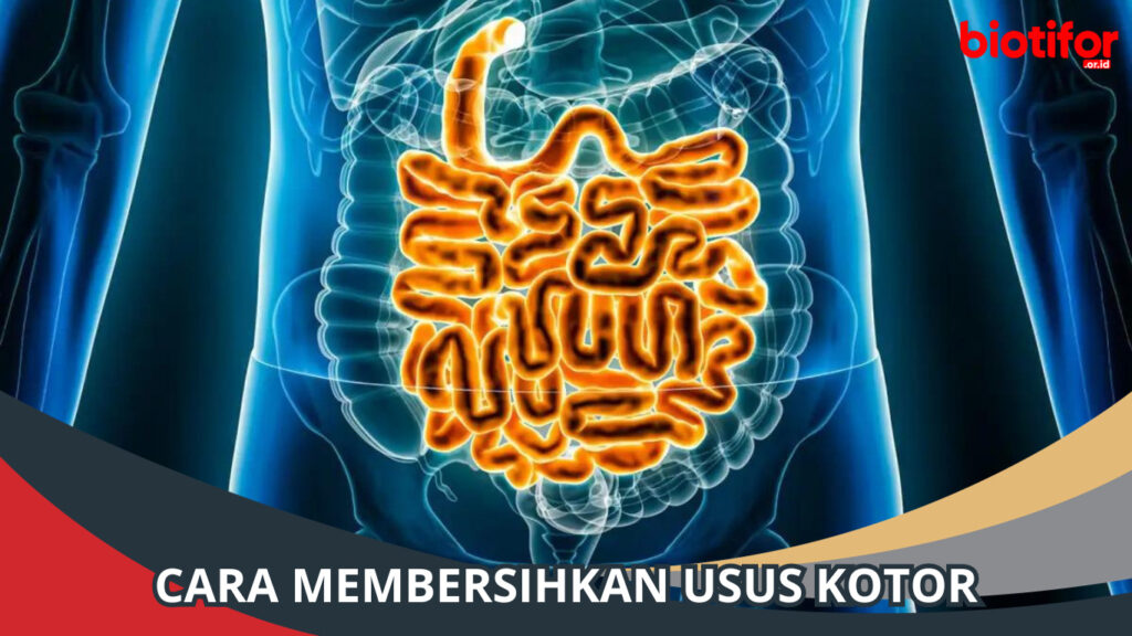 Cara Membersihkan Usus Kotor Cintai Ususmu Dengan Cara Ini Biotifor