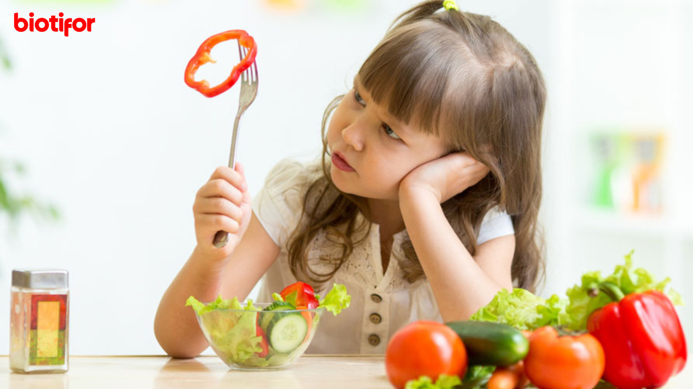 Cara Mengatasi Anak Susah Makan: Tips Untuk Orang Tua - Biotifor