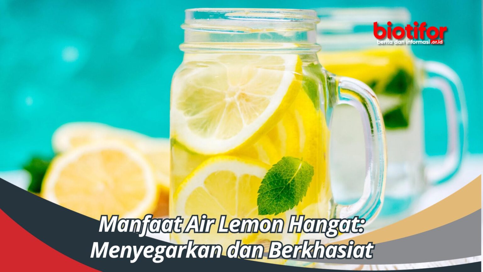 Manfaat Air Lemon Hangat Menyegarkan Dan Berkhasiat Biotifor