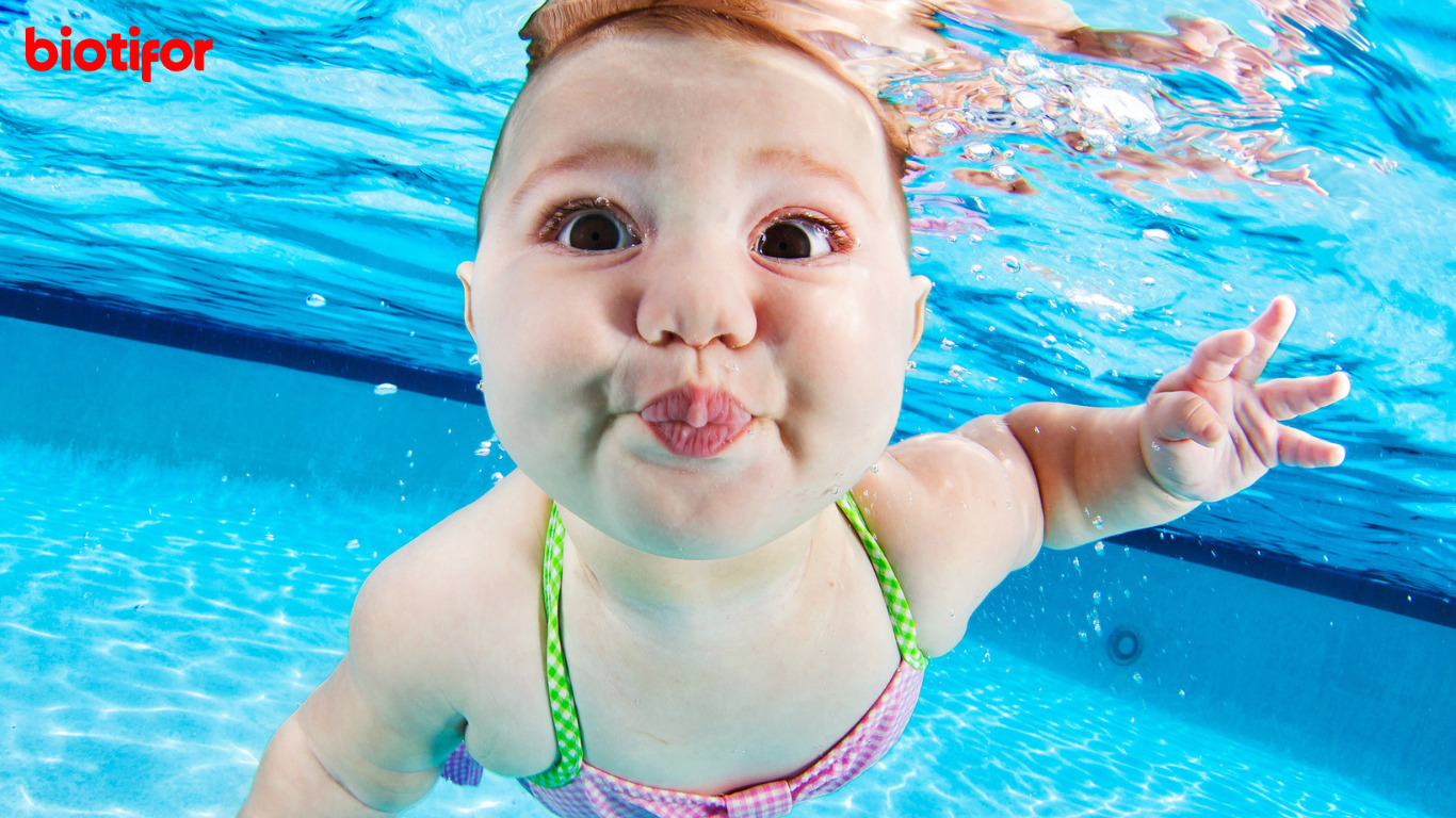 Manfaat Berenang Untuk Kesehatan Fisik Dan Mental - Biotifor