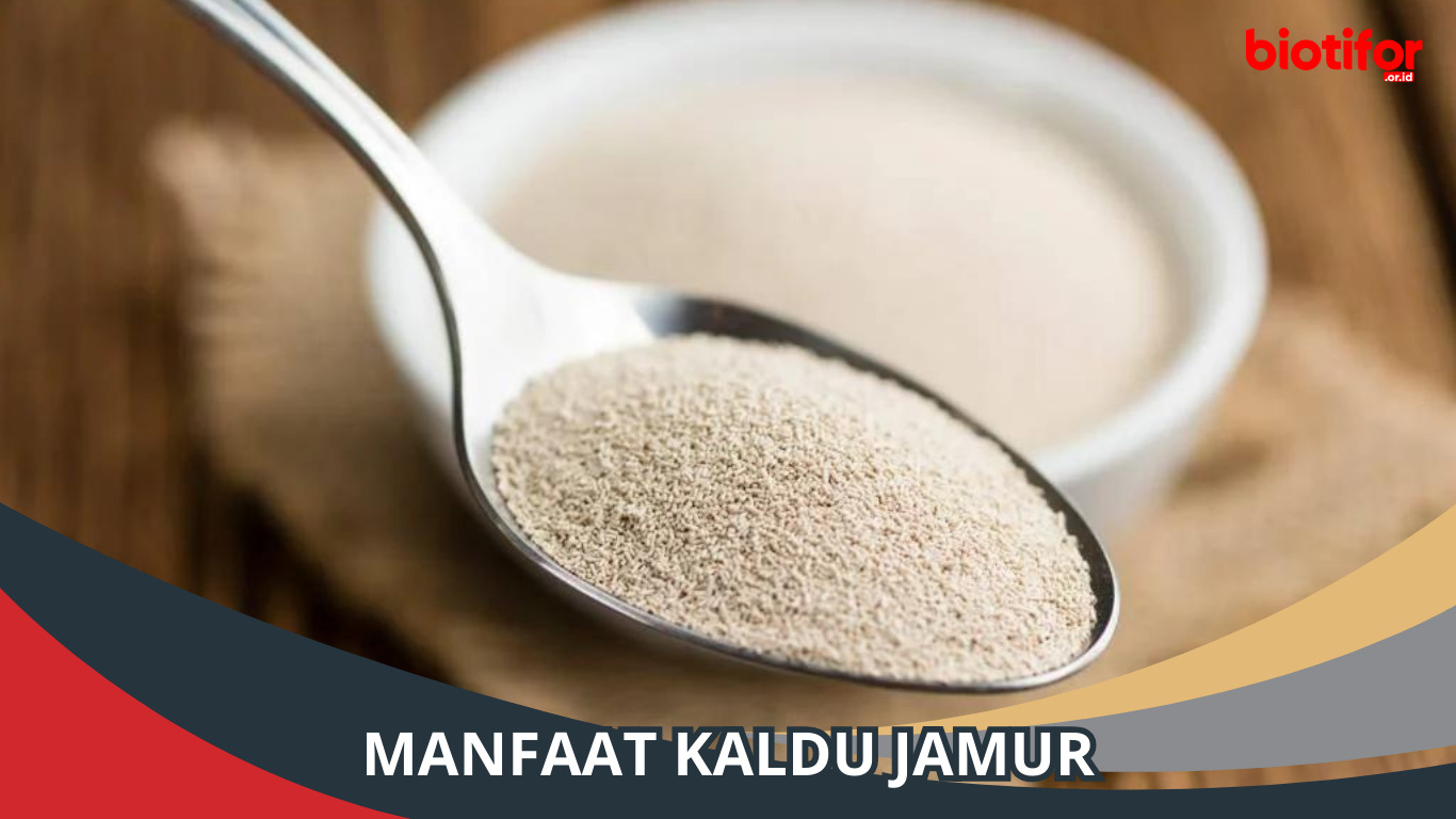 Manfaat Kaldu Jamur: Keajaiban Kesehatan di Setiap Sendokan