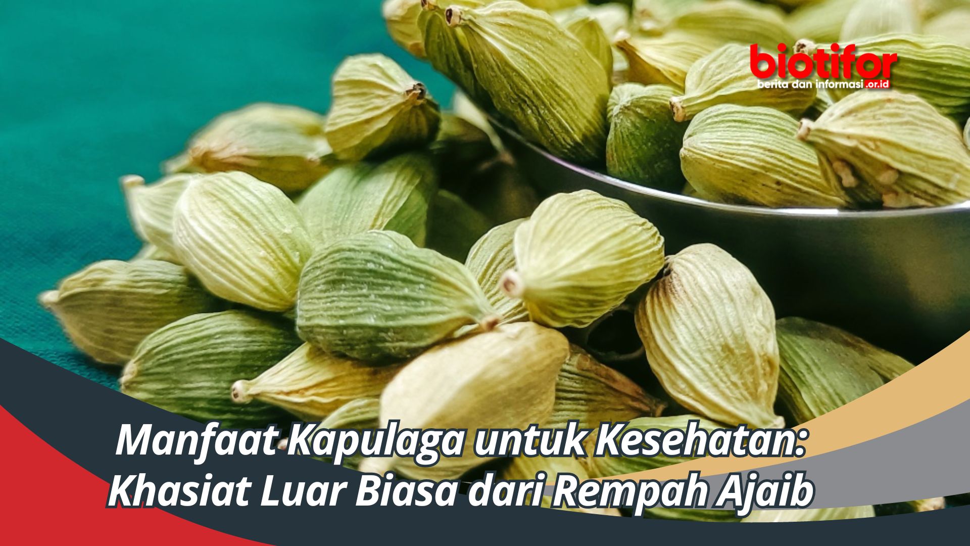 Manfaat Kapulaga Untuk Kesehatan Khasiat Luar Biasa Dari Rempah Ajaib