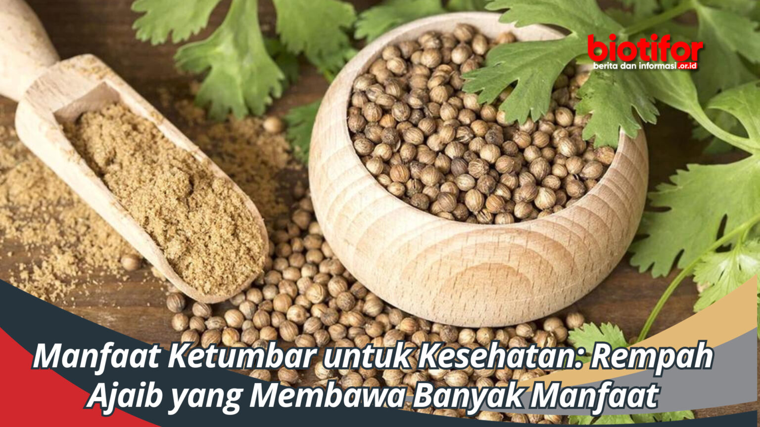 Manfaat Ketumbar Untuk Kesehatan Rempah Ajaib Yang Membawa Banyak Manfaat