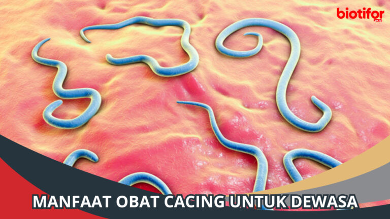 Manfaat Obat Cacing Untuk Dewasa, Kesehatan Yang Terlupakan - Biotifor