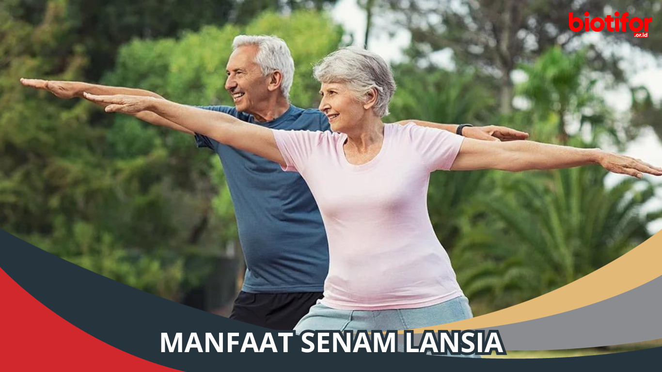 Manfaat Senam Lansia Pentingnya Aktivitas Fisik Di Usia Tua Biotifor