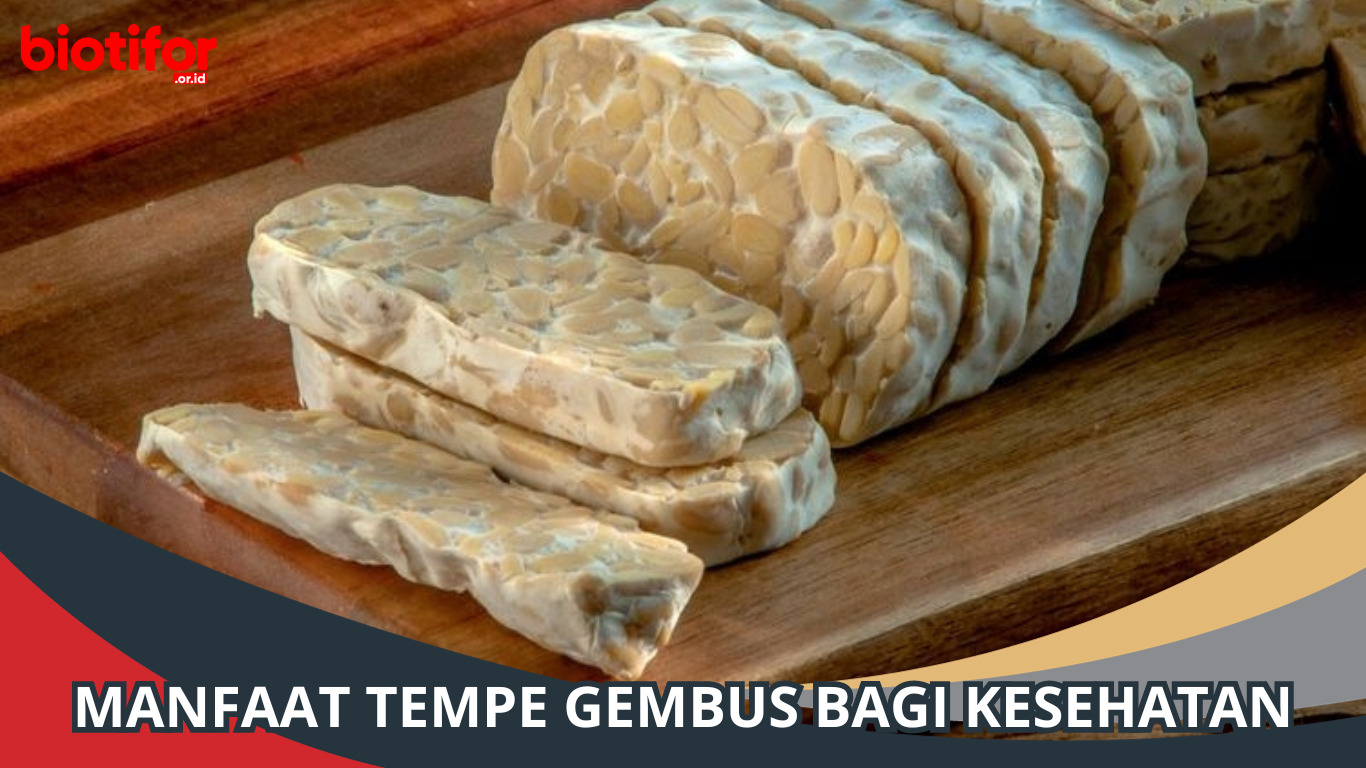 Manfaat Tempe Gembus Bagi Kesehatan, Penting Untuk Jantung!