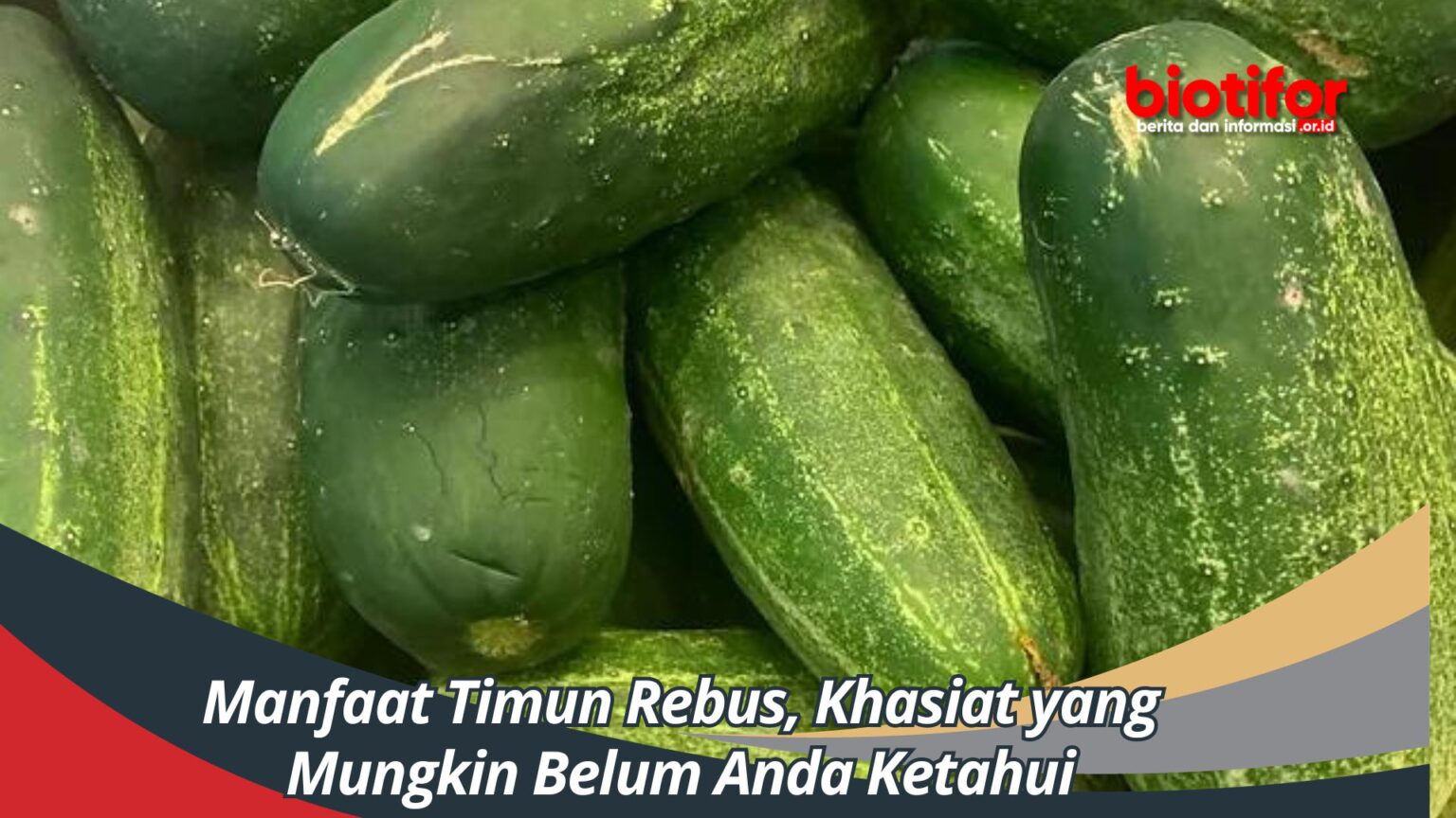 Manfaat Timun Rebus Khasiat Yang Mungkin Belum Anda Ketahui Biotifor 