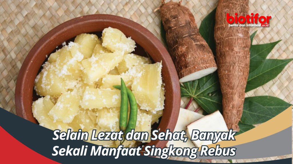 Selain Lezat Dan Sehat, Banyak Sekali Manfaat Singkong Rebus - Biotifor