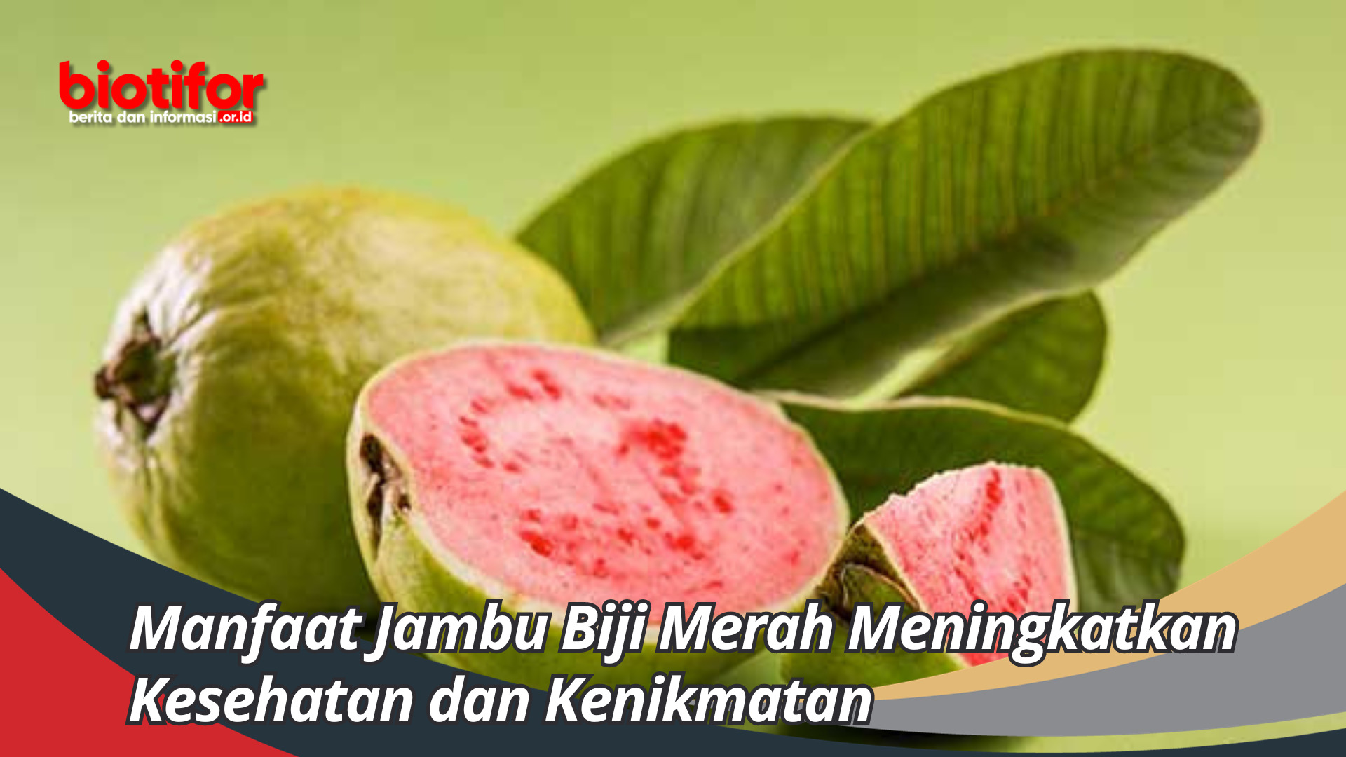 Manfaat Jambu Biji Merah Meningkatkan Kesehatan dan Kenikmatan