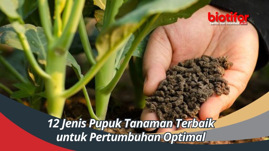 12 Jenis Pupuk Tanaman Terbaik Untuk Pertumbuhan Optimal - Biotifor