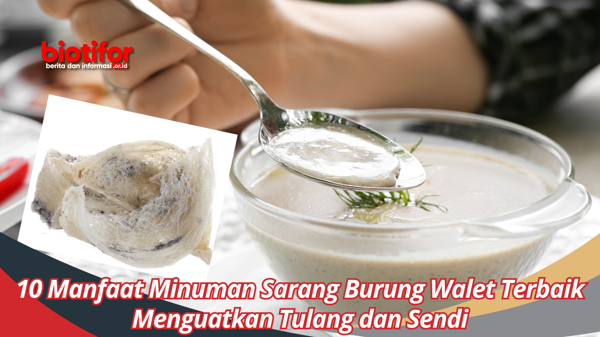 10 Manfaat Minuman Sarang Burung Walet Terbaik, Menguatkan Tulang dan Sendi