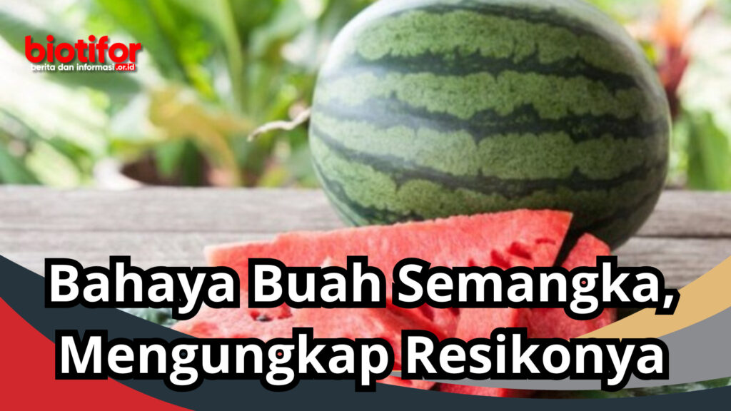 Bahaya Buah Semangka Mengungkap Resikonya Biotifor