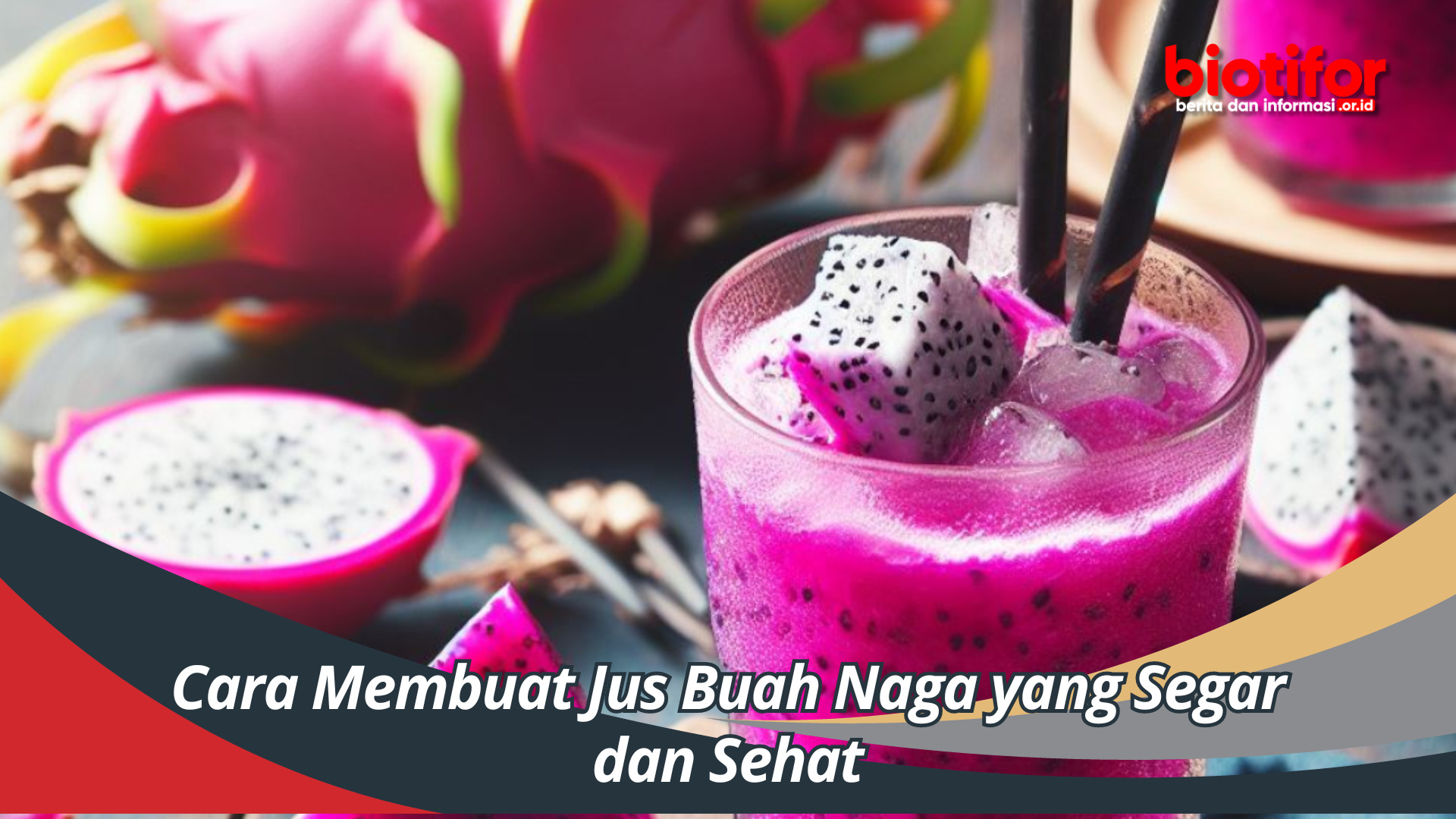 Cara Membuat Jus Buah Naga Yang Segar Dan Sehat Biotifor 6661