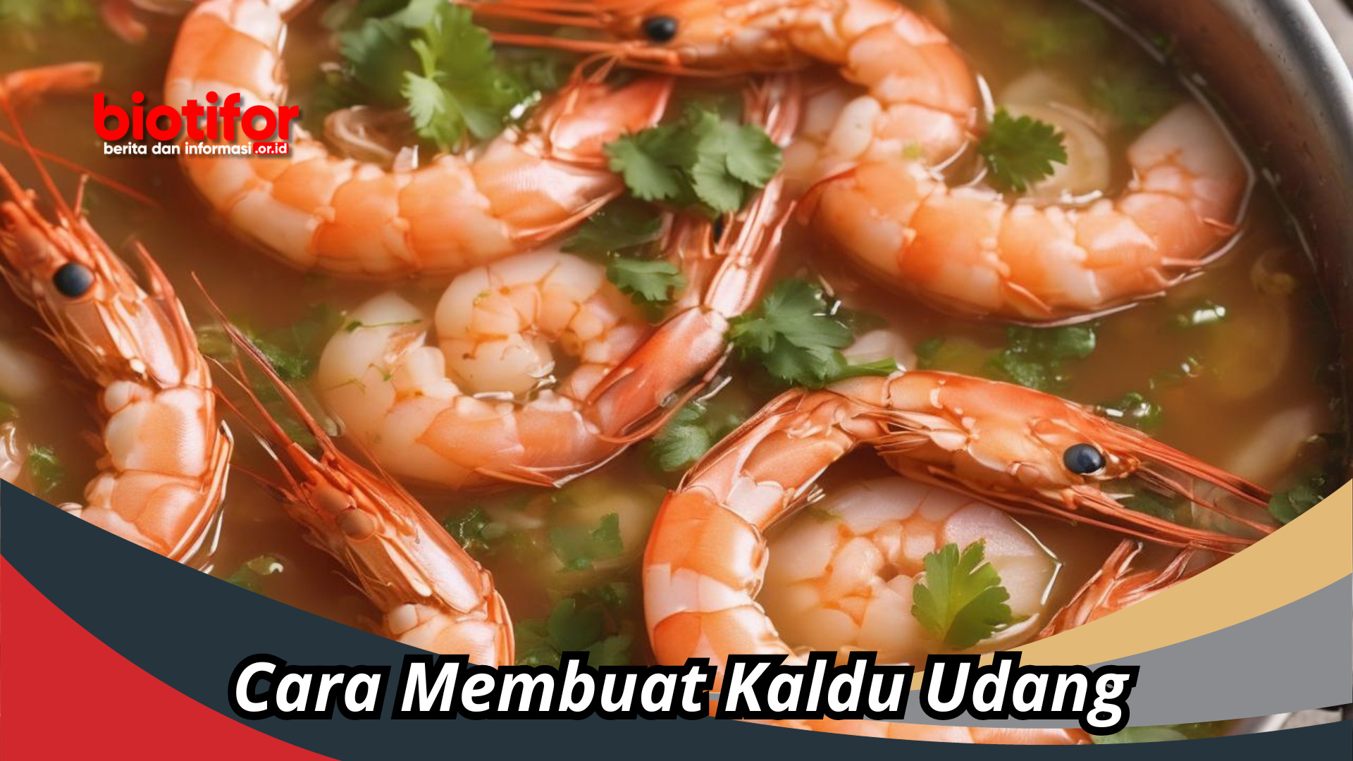 Tips Dan Trik Cara Membuat Kaldu Udang Yang Berkualitas